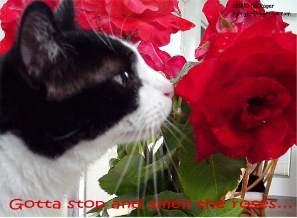 Gotta stop and smell the roses along the way!