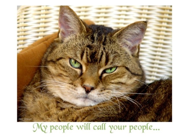 My people will call your people...