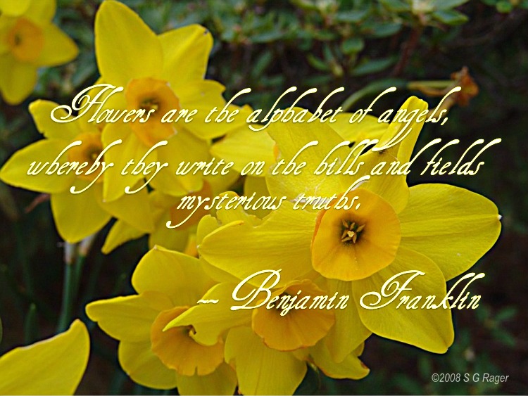 Flowers with Benjamin Franklin Quote