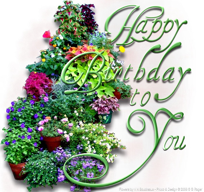 Happy Birthday Flowers For You